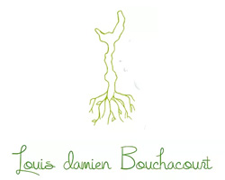 Louis Damien Bouchacourt