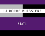 La Roche Buissière