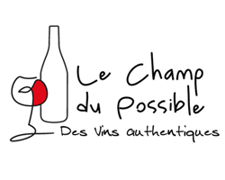 Le champs du possible