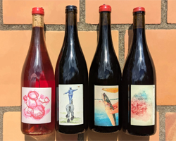 ../design/vigneron/beaujolais-domaine-du-bon-pas.png