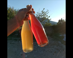 ../design/vigneron/rhone-les-vignes-de-jeanjean.png