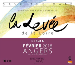 La Levée de la Loire