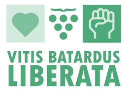 Vitis Batardus Liberata