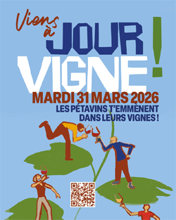 JOUR VIGNE - Les Pétavins t'emmènent dans leurs vignes !