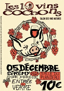 Les 10 vins cochons