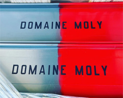 Domaine Moly